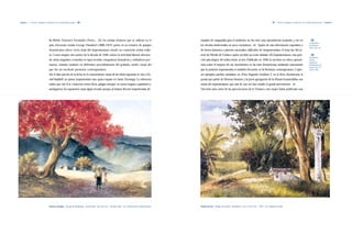 Capítulo 1 | Primeros lenguajes y tendencias en la modernidad nacional |30|                                                                                                                                                    |31|   Primeros lenguajes y tendencias en la modernidad nacional | Capítulo 1




                                   lia Weber, Francisco Fernández Fierro,... De los artistas foráneos que se radican en el                          masiado de vanguardia para el ambiente, no fue sino muy parcialmente aceptado, y eso en                                   |32|
                                                                                                                                                                                                                                                                              La República
                                   país, elocuente resulta George Hausdorf (1888-1957) quien en su temario de paisajes                              los círculos intelectuales un poco exclusivos».|32| Aparte de esta información expositiva y                               Dominicana.
                                                                                                                                                                                                                                                                              1954. Pág. 221.
                                   dominicanos ofrece cierta dosis del impresionismo, siendo un consciente artista realis-                          de breves alusiones a pintores nacionales calificados de «impresionistas», el tema fue del in-
                                   ta. Como ningún otro pintor de la década de 1940, enfoca la actividad laboral ofrecien-                          terés de Flérida de Nolasco, quien escribió un texto titulado «El Impresionismo», una posi-                               |33|
                                                                                                                                                                                                                                                                              De Nolasco,
                                   do obras singulares centradas en tipos sociales: campesinos, lavanderas y estibadores por-                       ción psicológica del artista frente al arte. Publicado en 1948, la escritora no ofrece panorá-                            Flérida.
                                                                                                                                                                                                                                                                              Cuadernos
                                   tuarios, tratados también en diferentes procedimientos del grabado, medio visual del                             mica sobre el impacto de ese movimiento en las artes dominicanas, señalando únicamente                                    Dominicanos de
                                                                                                                                                                                                                                                                              Cultura. No. 55,
                                   que fue un excelente promotor contemporáneo.                                                                     que la posición impresionista es también frecuente en la literatura contemporánea. Copio-                                 marzo 1948.

                                   Sin el dato preciso de la fecha ni el conocimiento visual de las obras expuestas, se cita a Da-                  sos ejemplos pueden estudiarse en «Don Segundo Sombra».Y en la lírica dominicana, la
                                   niel Vassilieff, un pintor impresionista ruso, quien expuso en Santo Domingo. La referencia                      poesía que partió de Moreno Jiménez y la joven agrupación de la «Poesía Sorprendida», son
                                   indica que «de él se conservan varios óleos, paisajes siempre, en varios hogares capitaleños y                   ramas del impresionismo que más de una vez han rozado el genial atrevimiento.|33|
                                   santiagueros. Su exposición causó algún revuelo porque, al tratarse del arte impresionista, de-                  Dieciséis años antes de las apreciaciones de la Nolasco, otra mujer había publicado una




                                    Plutarco Andújar|Paisaje de flamboyán|Acrílico/tela|69 x 94 cms.|Década 1960|Col. Pedro Haché y Alexis Haché.   Rafael Arzeno|Paisaje con cañón|Óleo/lienzo|25.4 x 30.5 cms.|1970|Col. Ceballos Estrella.
 