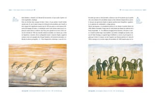 Capítulo 1 | Primeros lenguajes y tendencias en la modernidad nacional |62|                                                                                                                                     |63|   Primeros lenguajes y tendencias en la modernidad nacional | Capítulo 1




          |73|                     dosis fantástica y enlazado en la libertad del inconsciente a la que acude el pintor con            berculosis que minó su vida alucinada y sudorosa, es uno de los pintores que se pueden                                  |74|
          Torres, Oscar                                                                                                                                                                                                                                        La Poesía
          Antonio. El Caribe,      cierta regularidad y desahogo.                                                                      citar como adeptos de la surrealidad, aunque su obra realmente desaparecida no permi-                                   Sorprendida:
          mayo 13 de 1951.                                                                                                                                                                                                                                     Viñetas de
                                   Entre las referidas obras europeas de Jaime Colson y la que produce Granell median                  te más que una apreciación basada en algunas reproducciones fotográficas e igualmen-                                    Hernández Ortega
                                                                                                                                                                                                                                                               en los números.
                                   muchos años. Es casi el mismo tiempo de la floración del surrealismo post Granell, es               te en opiniones de condiscípulos y colegas pintores.
                                   decir, después de la significativa muestra suya de 1943 que pauta en cierta manera la flo-          Mucho más propenso a la surrealización pictórica lo era, durante el período final de los
                                   ración del lenguaje del sueño, o la simulación onírica entre jóvenes nativos que lo ex-             1940, Gilberto Hernández Ortega, autor de varias viñetas que ilustran los cuadernos de la
                                   presan de manera directa o indirecta. Juan Frías, joven egresado de la ENBA, revela a ini-          Poesía Sorprendida.|74| Si su afiliación al lenguaje del inconsciente y del sueño se conec-
                                   cios de la década de 1950 una marcada tendencia surrealista con visiones que, si bien               ta a Granell en primer lugar, como también a una estética comulgada por muchos coetá-
                                   son figurativas y naturales, ofrecen ambigüedad sensual o mutación fingida, cargada de              neos de Santo Domingo, en segundo lugar tal adhesión se conecta a la preocupación ne-
                                   erotismo como en la ejemplar obra «Hongo Fantástico», de facturación preciosista y ca-              grista que le ofrece el contacto con José Gausachs, cuyo discurso pictórico de inicios de
                                   lificada de pintura pornográfica.|73| Frías, desaparecido a destiempo a causa de la tu-             1950 se sumerge en la corriente mágica del surrealismo. En 1948 Gausachs pinta «La Ga-




                                    Julio Vega Batlle|Serie macrogénita «Diversión»|Óleo/tela|46 x 70 cms.|1958|Col. Wenceslao Vega.   Julio Vega Batlle|Serie macrogénita|Óleo/tela|44 x 70 cms.|1952|Col. Wenceslao Vega.
 