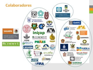 Colaboradores
 