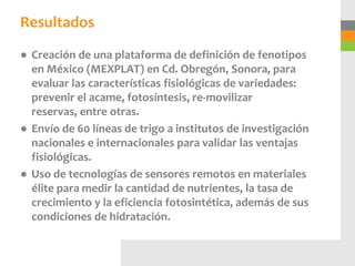 Resultados
● Creación de una plataforma de definición de fenotipos
  en México (MEXPLAT) en Cd. Obregón, Sonora, para
  evaluar las características fisiológicas de variedades:
  prevenir el acame, fotosíntesis, re-movilizar
  reservas, entre otras.
● Envío de 60 líneas de trigo a institutos de investigación
  nacionales e internacionales para validar las ventajas
  fisiológicas.
● Uso de tecnologías de sensores remotos en materiales
  élite para medir la cantidad de nutrientes, la tasa de
  crecimiento y la eficiencia fotosintética, además de sus
  condiciones de hidratación.
 