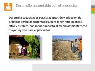 Desarrollo sustentable con el productor


Desarrolla capacidades para la adaptación y adopción de
prácticas agrícolas sustentables, para tener rendimientos
altos y estables, con menor impacto al medio ambiente y con
mayor ingreso para el productor.
 