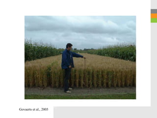 Govaerts et al., 2005
Govaerts et al., 2005
 