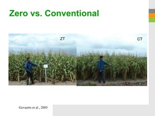 Zero vs. Conventional

                          ZT   CT




  Govaerts et al., 2005
 