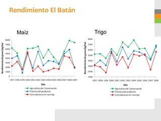 Rendimiento El Batán


                                        Maíz                                                                                                Trigo
                               8000                                                                                                  8000




                                                                                                     Reendimiento de grano (kg/ha)
Rendimiento de grano (kg/ha)




                               7000                                                                                                  7000

                               6000                                                                                                  6000
                               5000
                                                                                                                                     5000
                               4000
                                                                                                                                     4000
                               3000
                                                                                                                                     3000
                               2000

                               1000                                                                                                  2000

                                 0                                                                                                   1000
                                  1997 1998 1999 2000 2001 2002 2003 2004 2005 2006 2007 2008 2009                                      1997 1998 1999 2000 2001 2002 2003 2004 2005 2006 2007 2008
                                                                Año                                                                                                 Año
                                                     Agricultura de Conservación                                                                            Agricultura de Conservación
                                                     Práctica del productor                                                                                 Práctica del productor
                                                     Cero labranza sin rastrojo                                                                             Cero labranza sin rastrojo
 