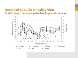 Humedad de suelo en Valles Altos
En ciclo 2009 (con sequia 30-83 días después de siembra)
                                260                                                                                      70
                                240
                                                                                                                         60
      Soil water content (mm)




                                220
                                                                                                                         50
                                200




                                                                                                                              Rainfall (mm)
                                180                                                                                      40

                                160                                                                                      30
                                140
                                                                                                                         20
                                120
                                                                                                                         10
                                100
                                 80                                                                                      0
                                      0        14    28   42   56   70      84   98    112       126   140   154   168

                                                                    Days after planting
                                          ZT, Keep             ZT, Remove             CT, Keep                CT, Remove
                                          FC                   WP                     Rainfall
 