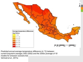Predicted annual average temperature difference (in °C) between
current long-term average (1951-2002) and the 2050s (average of 19
models for emission scenario A2)
Verhulst et al., 2011a
 