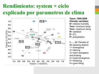 Rendimiento: system × ciclo
explicado por parametros de clima
                          Years: 1999-2009
                          Climatic variables:
                          H= relative humidity
                          Tmn= minimum temp
                          Tmx= maximum temp
                          R= radiation
                          E= ET0
                          P= precipitation

                          1, …, 6= Periods of
                          the growing season
                          1 ≈ emergence
                          2 ≈ tillering
                          3 ≈ stem elongation
                          and booting
                          4 ≈ head emergence
                          5 ≈ flowering
                          6 ≈ grain filling
 
