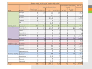 Avance de MasAgro en los Estados
                                                                                   Experimentos de fertilidad Area de
                                                       Módulos demostrativos               integral           extension
                                  Plataformas                                                    OI 2011-
Hub            Estado            experimentales Establecidos    ha      Productores PV 2011         2012
               Hidalgo                       3          39        66            39           3           .        260
               México                        5          13        20            13           4           .        113
               Puebla                        3           4      21.5             4           2           .       1205
               Tlaxcala                      1          23      27.4            23           7           .         71
               DF                                        4       2.9             4           0           .          3
Valles Altos   Subtotal                     12          83     137.8            83          16           0       1652
               Guanajuato                    2          25      63.7            25                      24       1092
               Jalisco                       -           1         4             1           6           0          0
               Queretaro                     0           2         2             2           0           .         30
               Michoacán                     1           2         2             2           4           0       3562
Bajío          Subtotal                      3          30      71.7            30          10          24       4684
               Chiapas                       1           9         6             6           3           0        463
Trópico Bajo   Subtotal                      1           9         6             6           3           0        463
               Sinaloa                       1           2        20             2           7           4       1323
               Sonora                        3           4        24             4           8           6      11821
               Baja California               1           0         0             0           0           6        723
Pacífico Norte Subtotal                      5           6        44             6          15          16      13867
               Chihuahua                     0           1       2.5             1           .           .        124
               Oaxaca                        0           2         1             2           .           .          0
               Zacatecas                     0           1       2.5             1           2           .          0
Total                                       21         132     265.5           129          46          40      20790
 