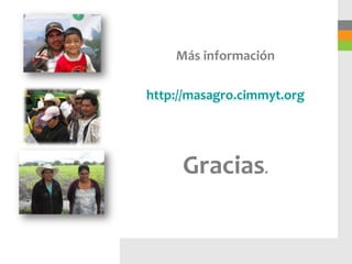 Más información

http://masagro.cimmyt.org




     Gracias.
 