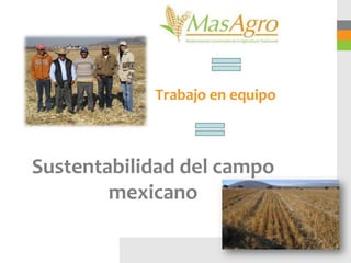 Trabajo en equipo



Sustentabilidad del campo
        mexicano
 