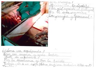 Doc00545720161209153204