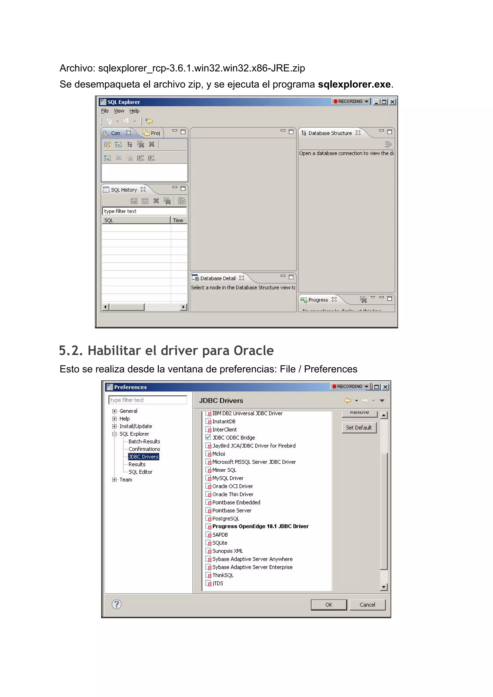 Archivo: sqlexplorer_rcp-3.6.1.win32.win32.x86-JRE.zip
Se desempaqueta el archivo zip, y se ejecuta el programa ​sqlexplorer.exe​.
5.2. Habilitar el driver para Oracle 
Esto se realiza desde la ventana de preferencias: File / Preferences
 