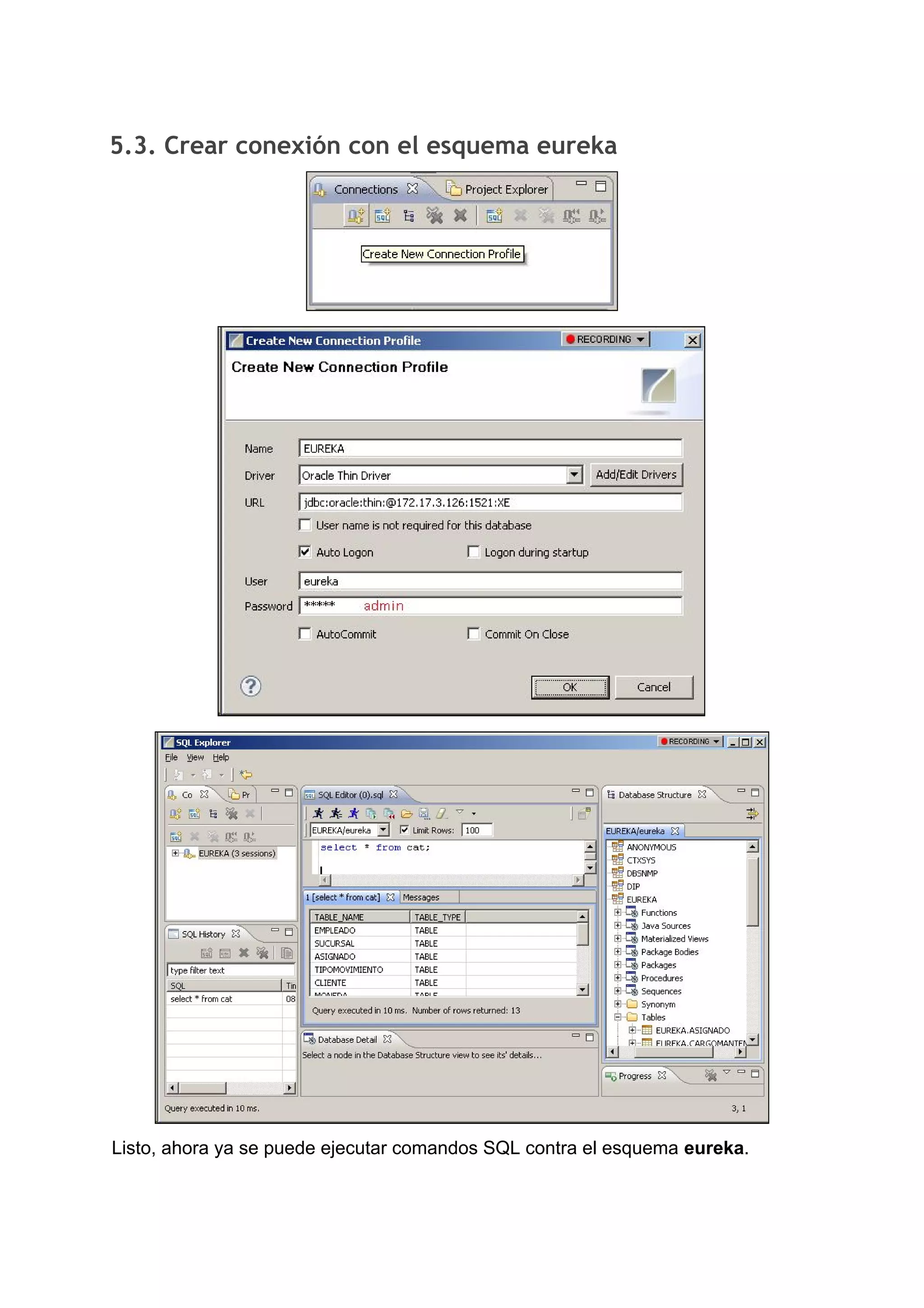 5.3. Crear conexión con el esquema eureka 
Listo, ahora ya se puede ejecutar comandos SQL contra el esquema ​eureka​.
 