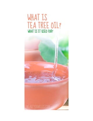 What is tea tree oil? What is it used for?