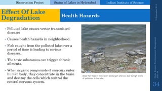 Dissertation Project 
Status of Lakes in Hyderabad 
Indian Instituteof Science 
•Polluted lake causes vector transmitted diseases 
•Causes health hazards in neighborhood. 
•Fish caught from the polluted lake over a period of time is leading to serious diseases. 
•The toxic substances can trigger chronic ailments. 
•When organic compounds of mercury enter human body, they concentrate in the brain and destroy the cells which control the central nervous system. 19 September 2014 
Nisha Kumari, Environmental Management 
2013-14 
34 
Effect Of Lake Degradation 
Health Hazards 
Dead fish float in the waters at DurgamCheruvudue to high levels of pollution in the lake.  