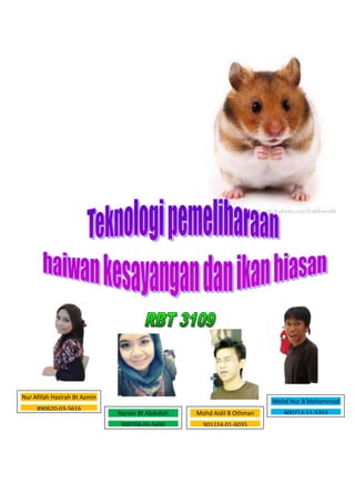 Mohd Aidil B Othman
901224-01-6035
Mohd Nur B Mohammad
900712-11-5353Norain Bt Abdullah
900708-05-5490
Nur Afifah Hazirah Bt Azmin
890620-03-5616