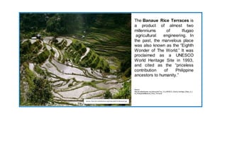 [Type a quote from the document or the summary of an 
interesting point. You can position the text box anywhere 
in the document. Use the Text Box Tools tab to change the 
formatting of the pull quote text box.] 
The Banaue Rice Terraces is 
a product of almost two 
millenniums of Ifugao 
agricultural engineering. In 
the past, the marvelous place 
was also known as the “Eighth 
Wonder of The World.” It was 
proclaimed as a UNESCO 
World Heritage Site in 1993, 
and cited as the “priceless 
contribution of Philippine 
ancestors to humanity.” 
Source: 
http://en.wikipilipinas.org/index.php/Top_10_UNESCO_World_Heritage_Sites_in_t 
he_Philippines#Banaue_Rice_Terraces 
Source: http://en.wikipilipinas.org/index.php/File:Banaue2.jpg 
 