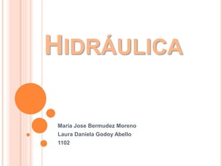 HIDRÁULICA
Maria Jose Bermudez Moreno
Laura Daniela Godoy Abello
1102
 