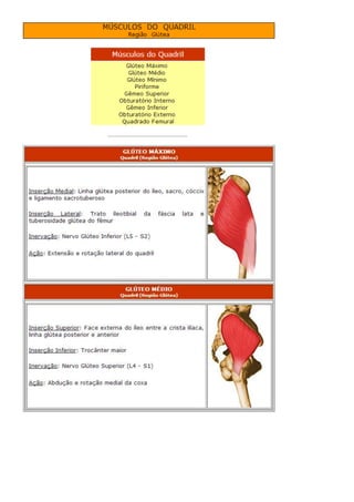 Anatomia dos musculos.