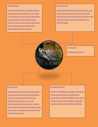 ESPECIES EMBLEMATICAS Xd