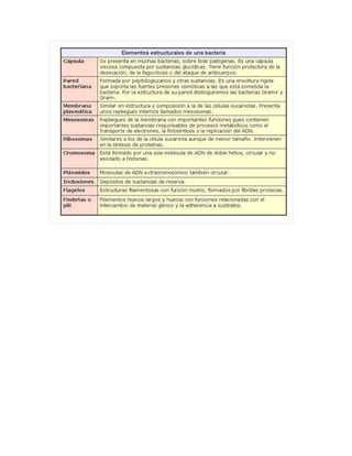 Doc1