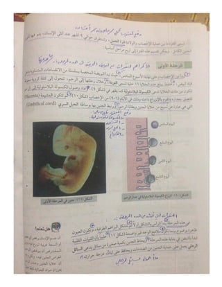 تعليم نقاط-10