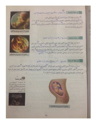 تعليم نقاط-10