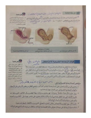 تعليم نقاط-10