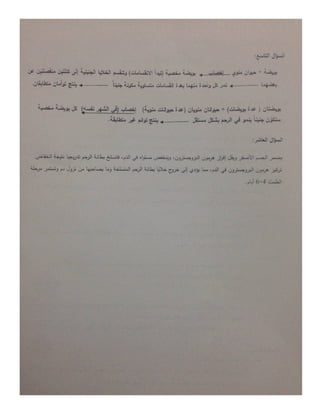 تعليم نقاط-10