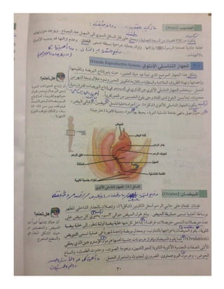 تعليم نقاط-10