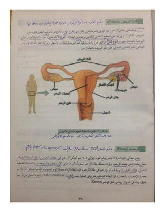تعليم نقاط-10