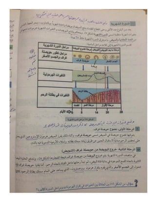 تعليم نقاط-10