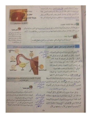 تعليم نقاط-10