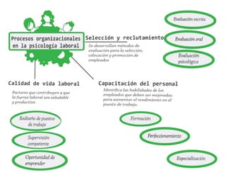 procesos organizacionales y la psicologia laboral
