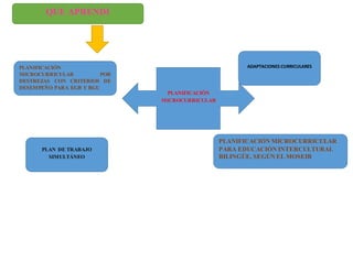 QUE APRENDI
PLANIFICACIÓN
MICROCURRICULAR
PLANIFICACIÓN
MICROCURRICULAR POR
DESTREZAS CON CRITERIOS DE
DESEMPEÑO PARA EGB Y BGU
PLAN DE TRABAJO
SIMULTÁNEO
PLANIFICACIÓN MICROCURRICULAR
PARA EDUCACIÓN INTERCULTURAL
BILINGÜE, SEGÚN EL MOSEIB
ADAPTACIONES CURRICULARES
 