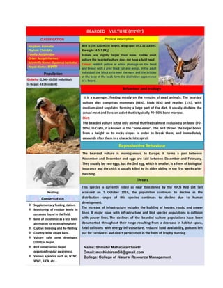 Ecological Description of Beared vulture