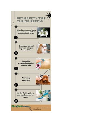  Pet Safety Tips During Spring