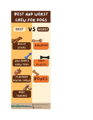 Best and Worst Chew for Dogs