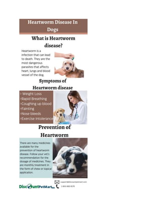 Heartworm Disease in Dogs