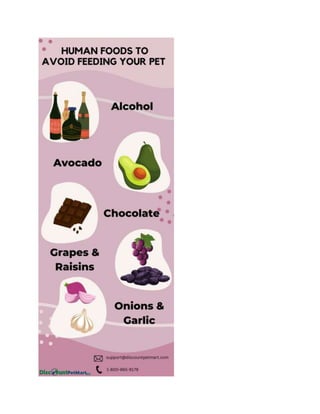 Human Foods You Should Avoid Feeding Your Pet