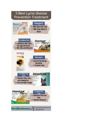 5 Best Lyme Disease Prevention Treatment for Pets