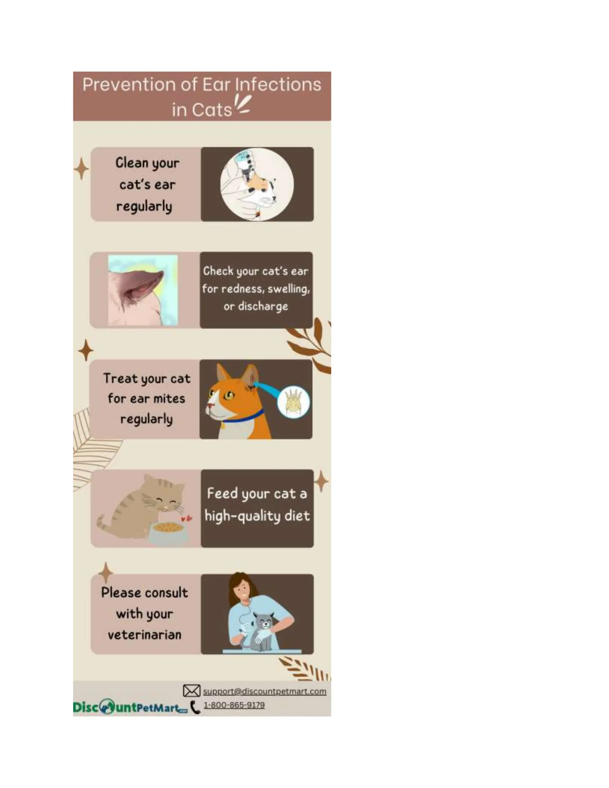Ear Infections in Cats: A Comprehensive Guide | DOCX