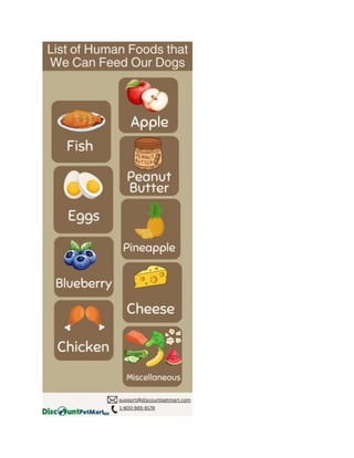 List of Human Foods that We Can Feed Our Dogs