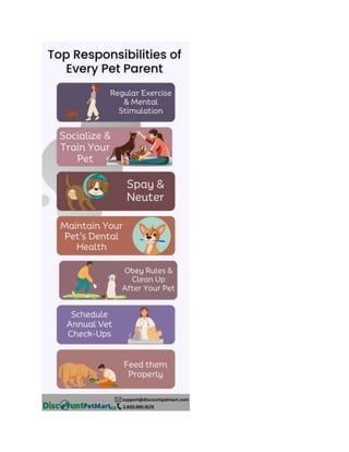 Top Responsibilities of Every Pet Parent