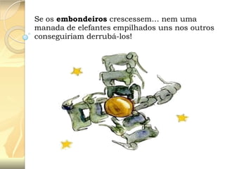 Se os embondeiros crescessem… nem uma
manada de elefantes empilhados uns nos outros
conseguiriam derrubá-los!

 