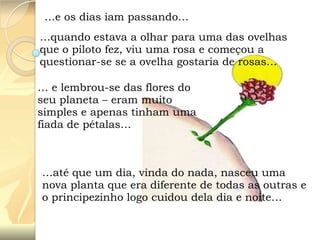 …e os dias iam passando…
…quando estava a olhar para uma das ovelhas
que o piloto fez, viu uma rosa e começou a
questionar-se se a ovelha gostaria de rosas…

… e lembrou-se das flores do
seu planeta – eram muito
simples e apenas tinham uma
fiada de pétalas…

…até que um dia, vinda do nada, nasceu uma
nova planta que era diferente de todas as outras e
o principezinho logo cuidou dela dia e noite…

 