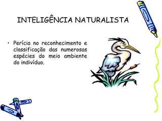 INTELIGÊNCIA NATURALISTA
• Perícia no reconhecimento e
classificação das numerosas
espécies do meio ambiente
do indivíduo.
 