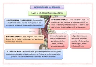 Doc1 peritoneo | PDF