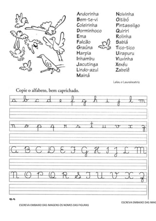 ESCREVA EMBAIXO DAS IMAG
ESCREVA EMBAIXO DAS IMAGENS OS NOMES DAS FIGURAS
 