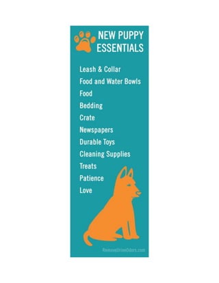 New Puppy Essentials 